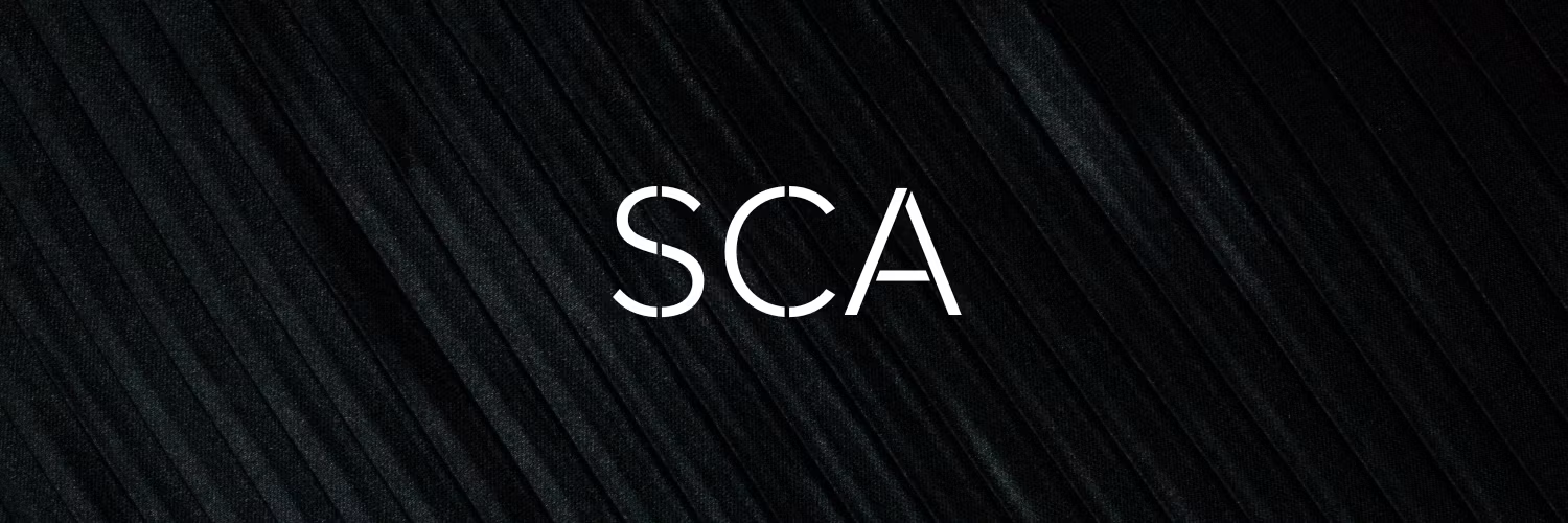 Startup Career Accelerator