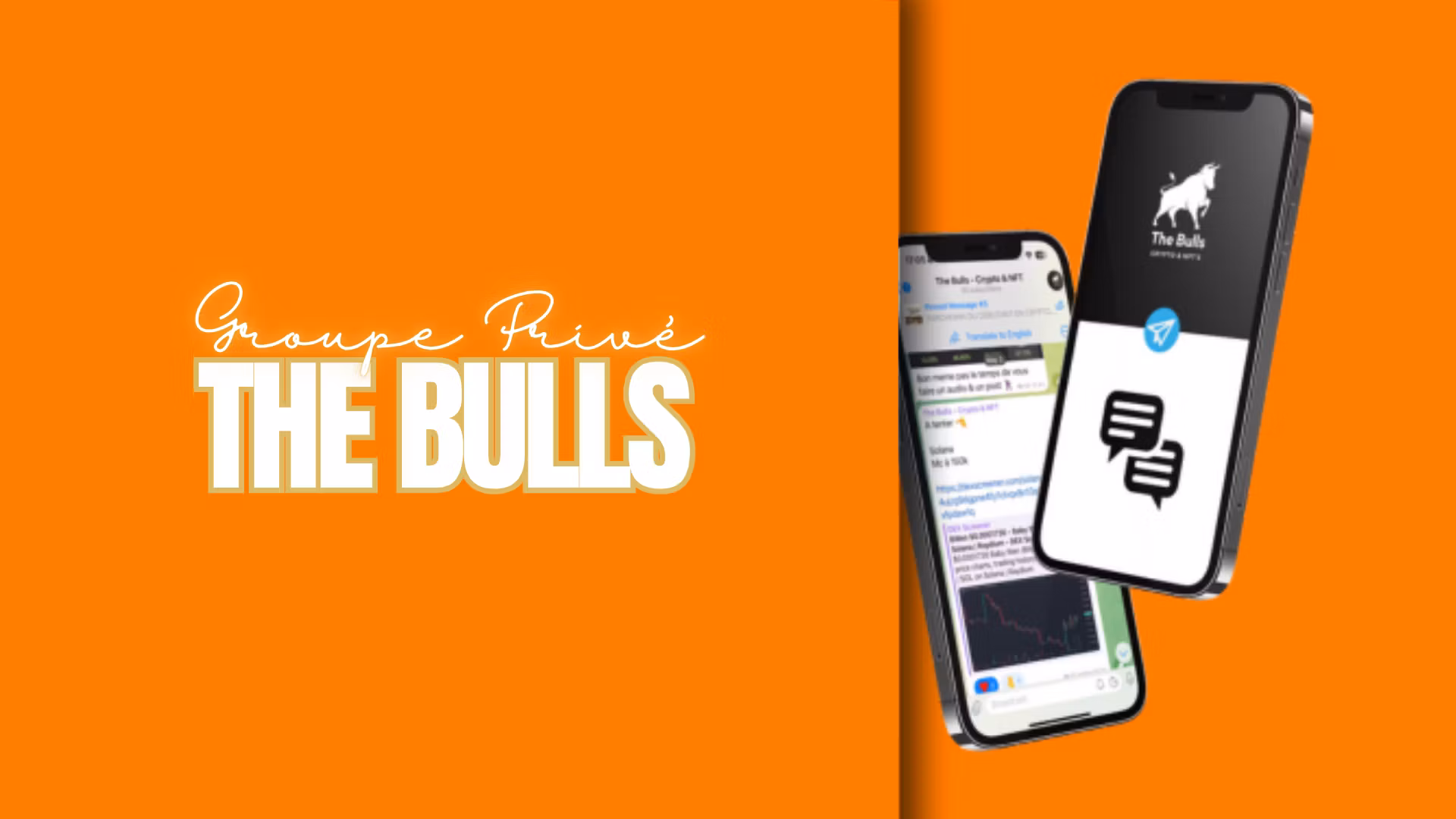 GROUPE VIP - The Bull's
