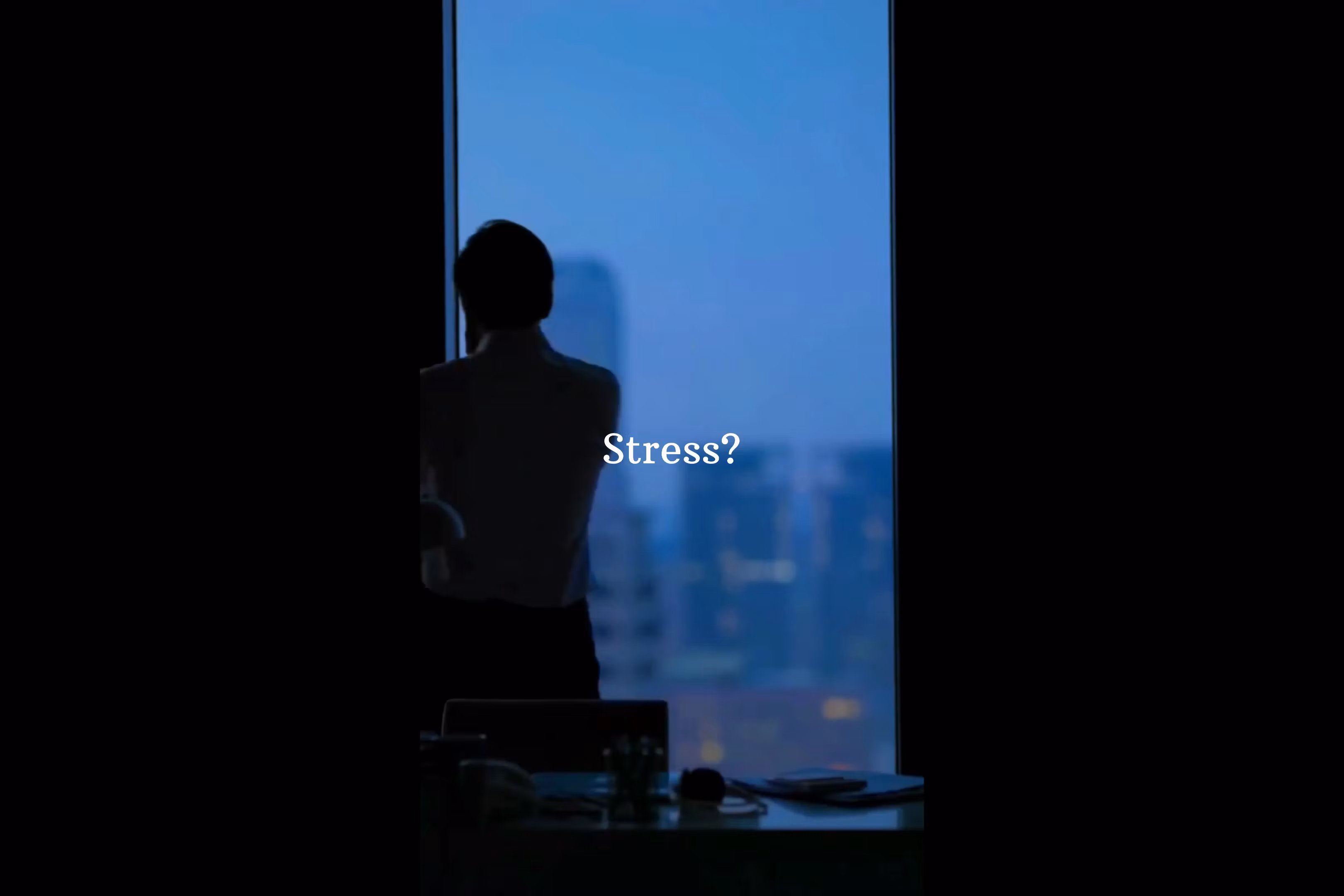 LessStress Premium