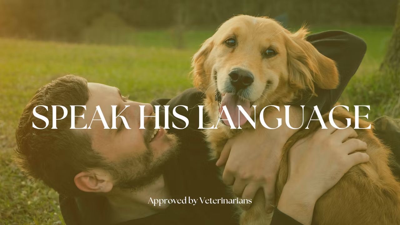 Canine translator