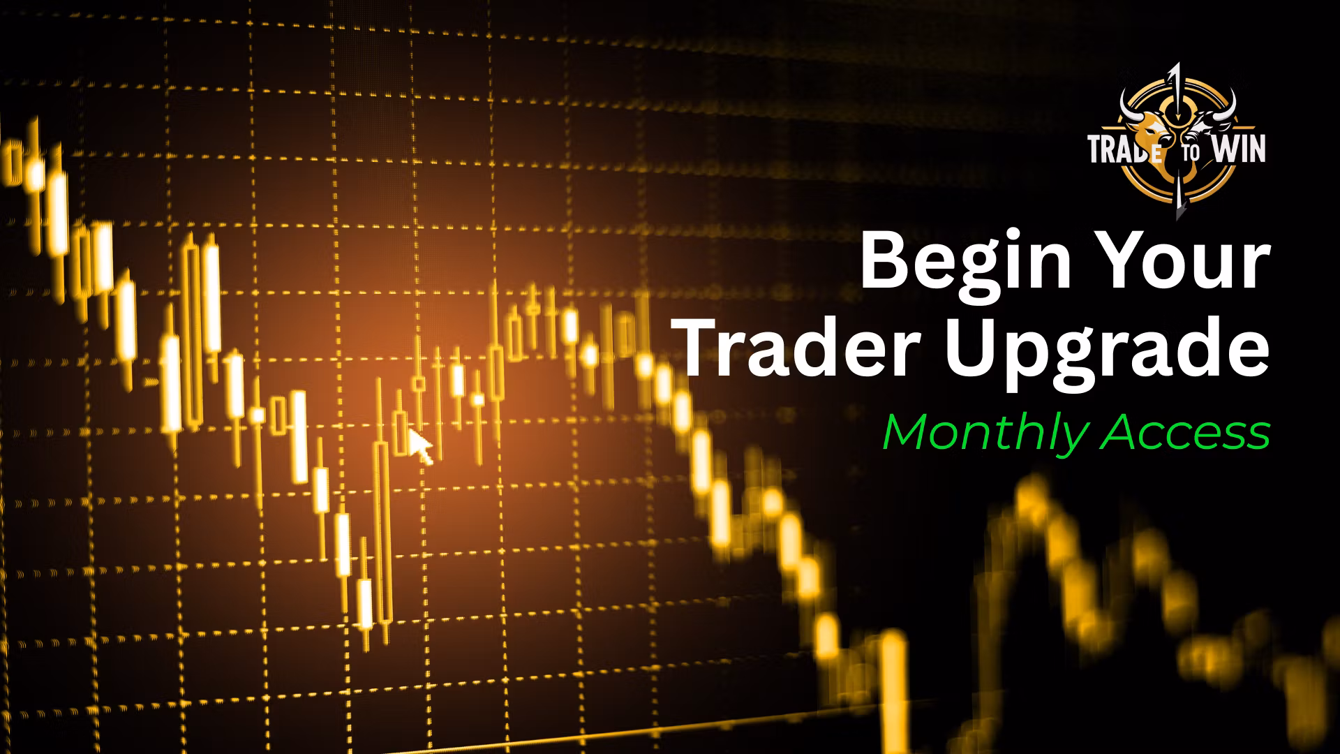 Starter Monthly
