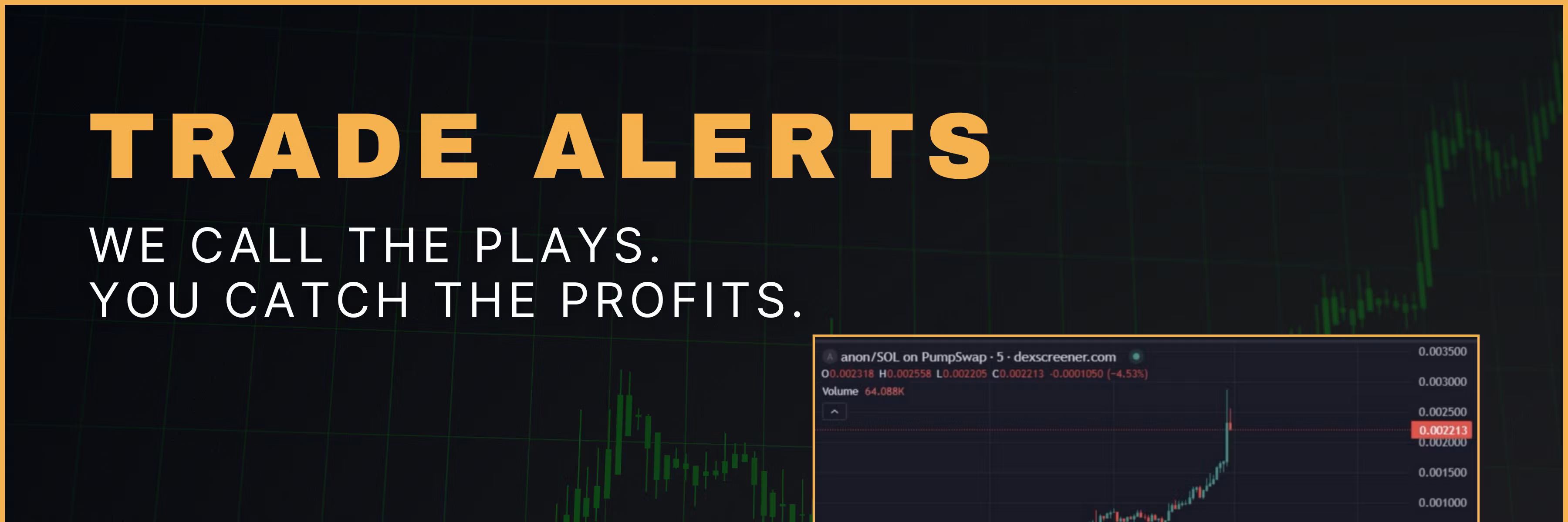 Profile banner
