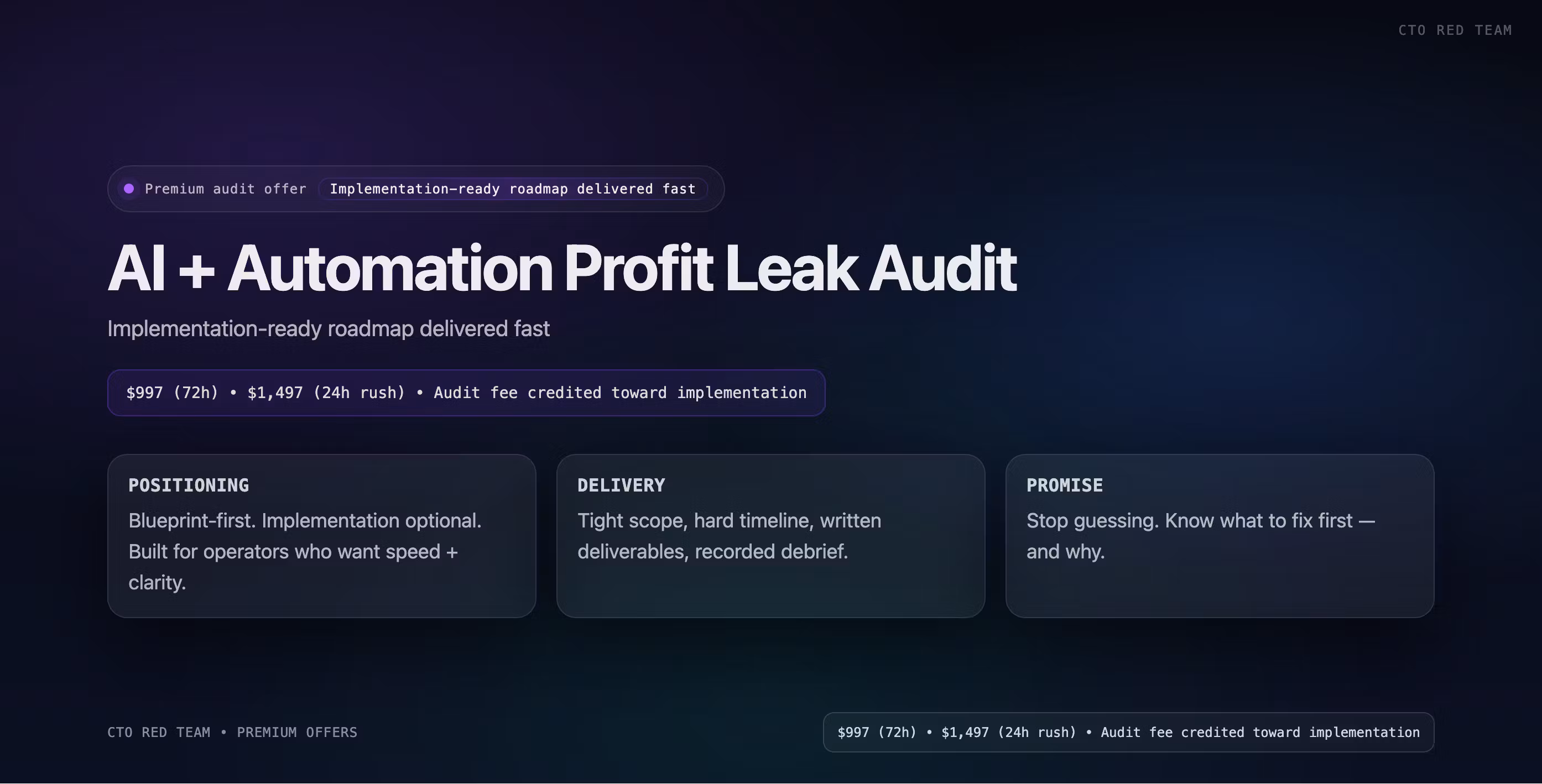 AI Profit Leak Audit (72h)