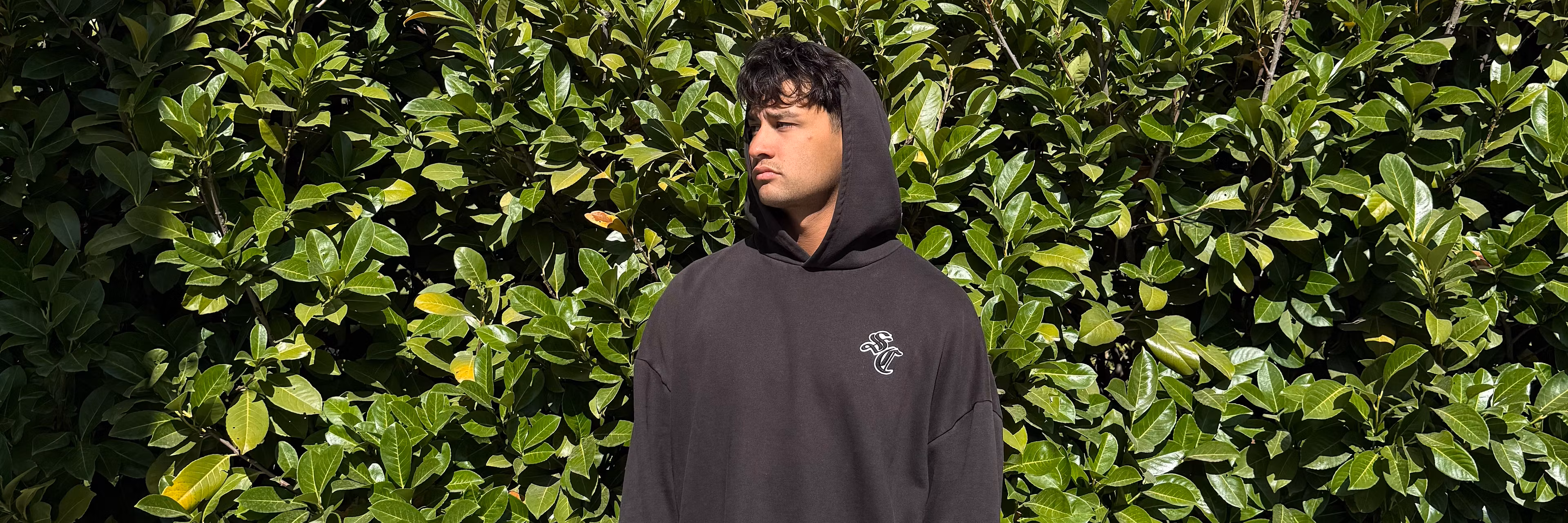 Profile banner
