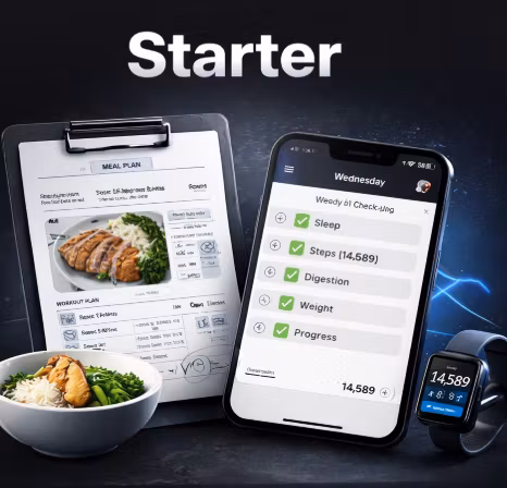 Starter 