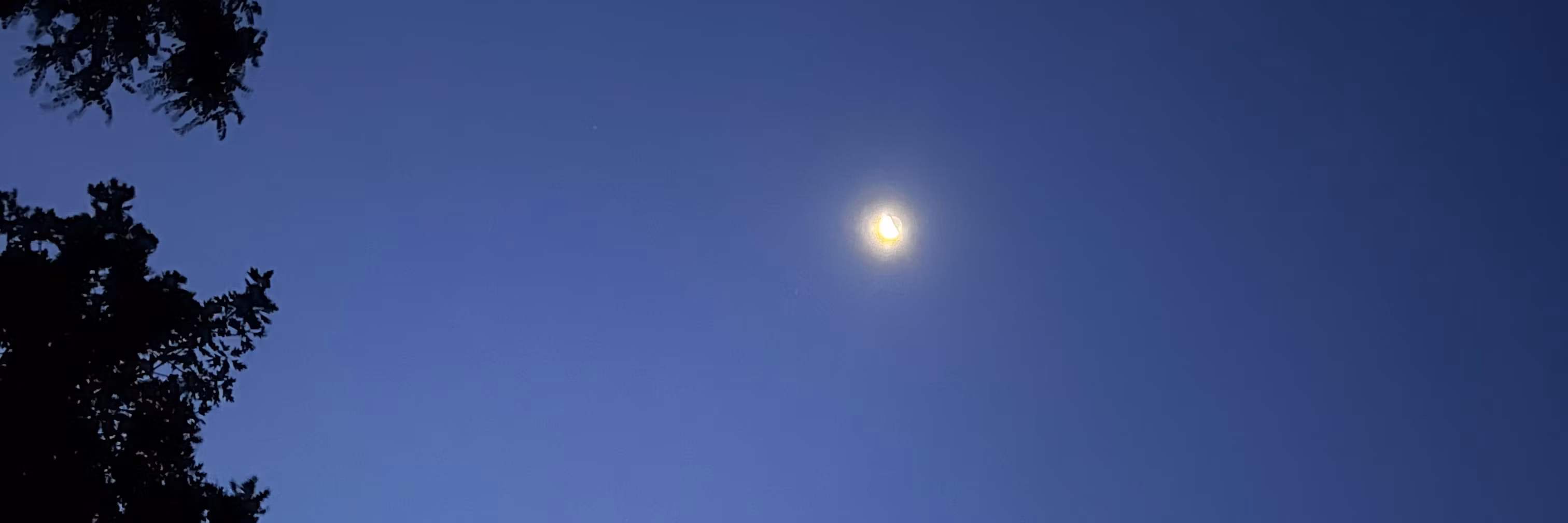Profile banner