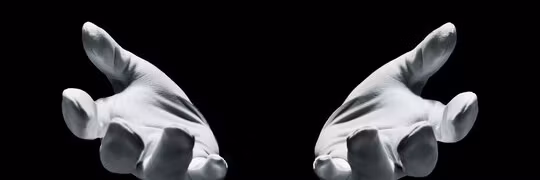 Profile banner