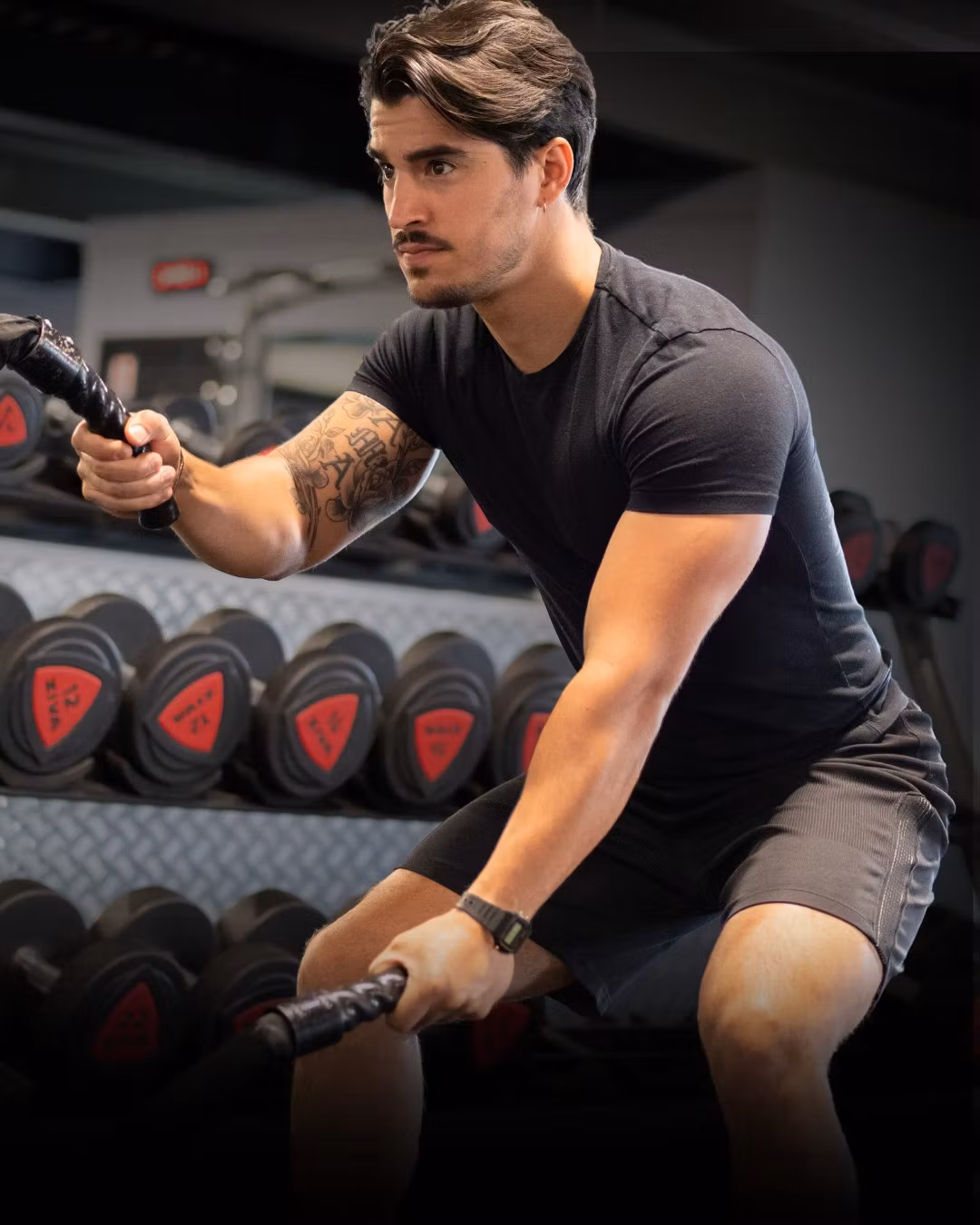 Musculation Élite : Programme Complet