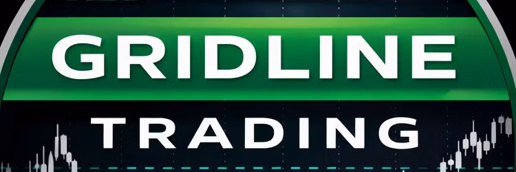Profile banner