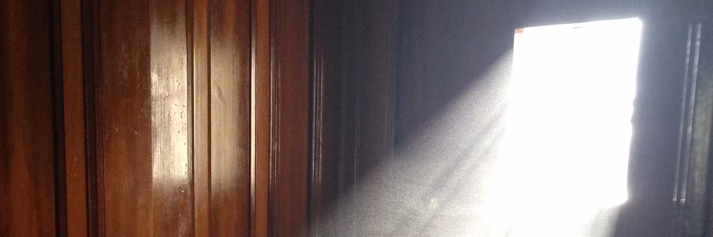 Profile banner