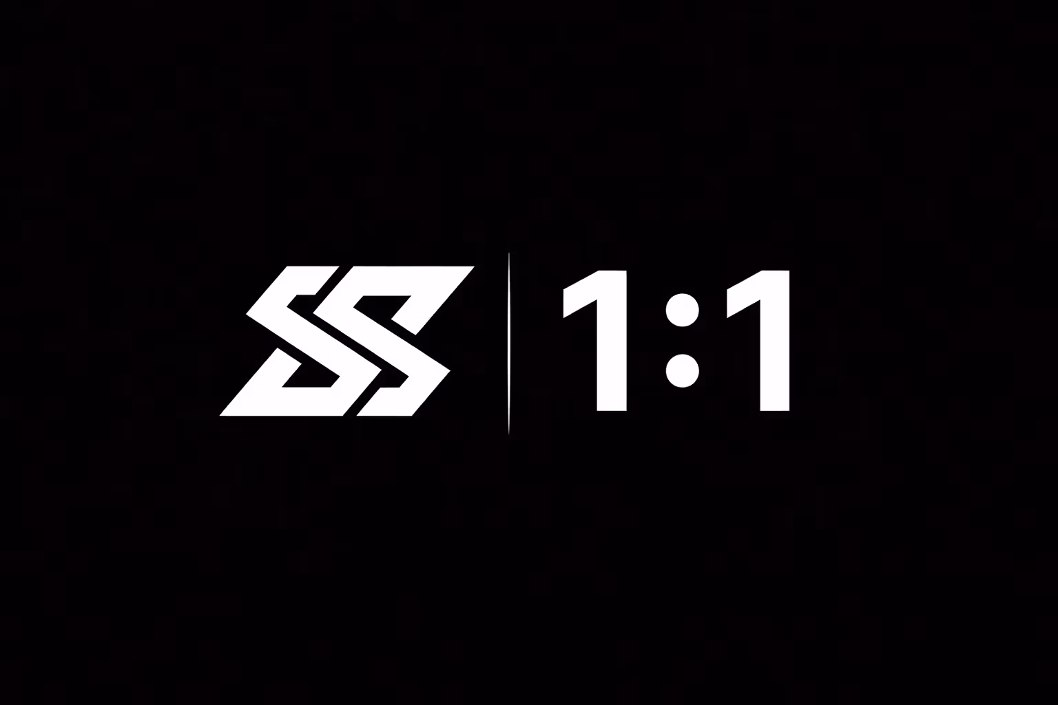 Scale Society 1:1