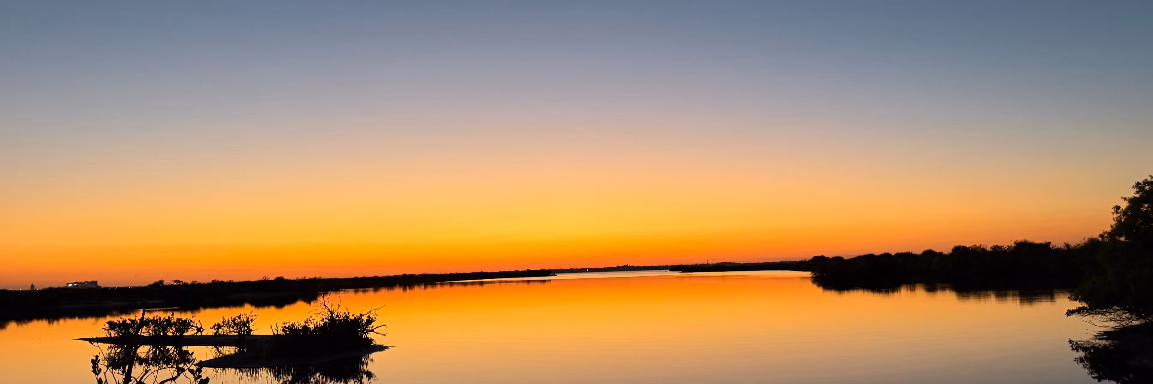 Profile banner