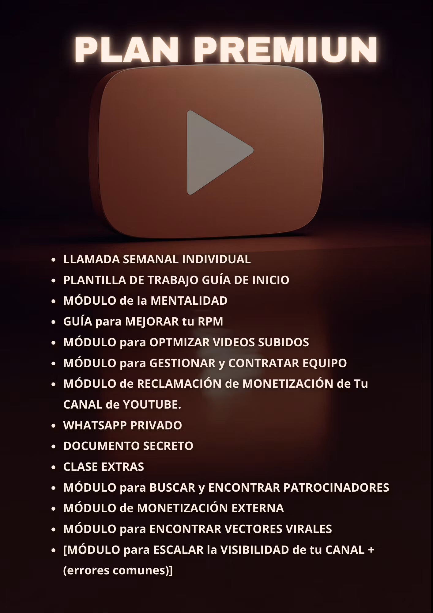 PLAN PREMIUN