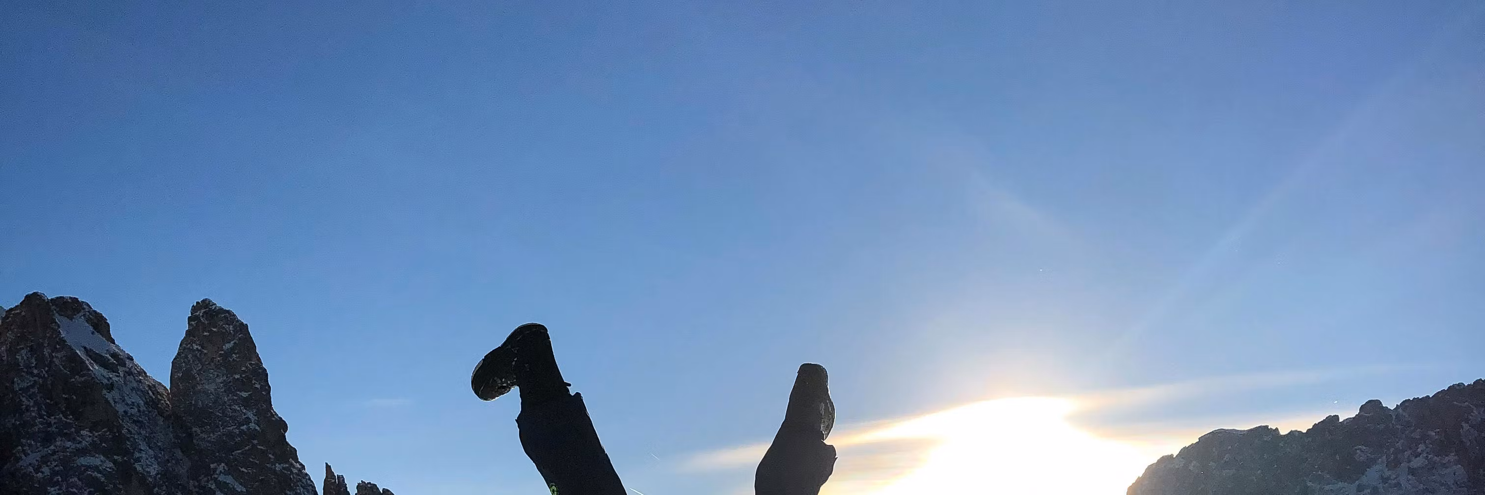 Profile banner