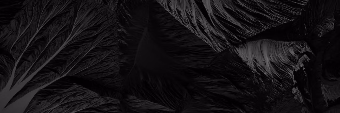Profile banner