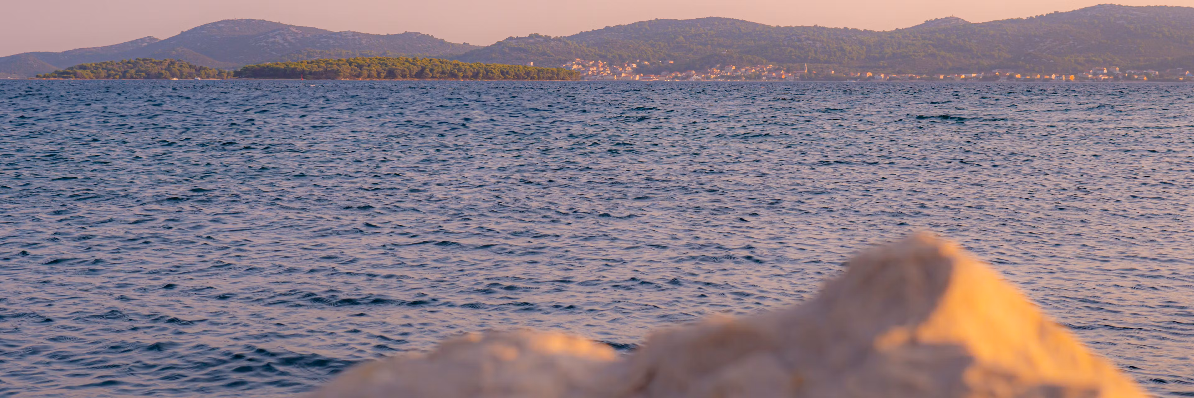 Profile banner