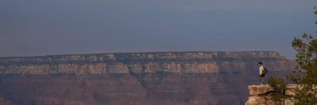 Profile banner