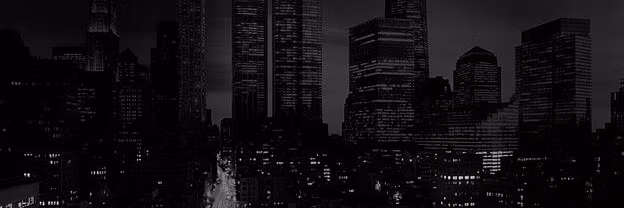 Profile banner