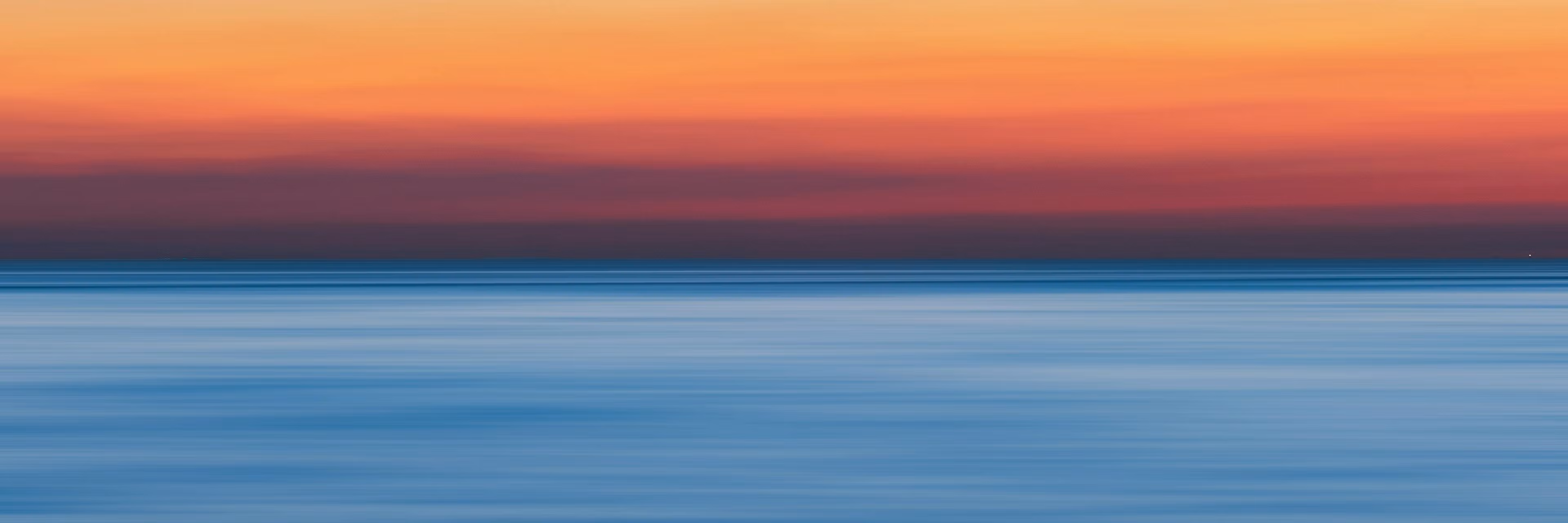 Profile banner