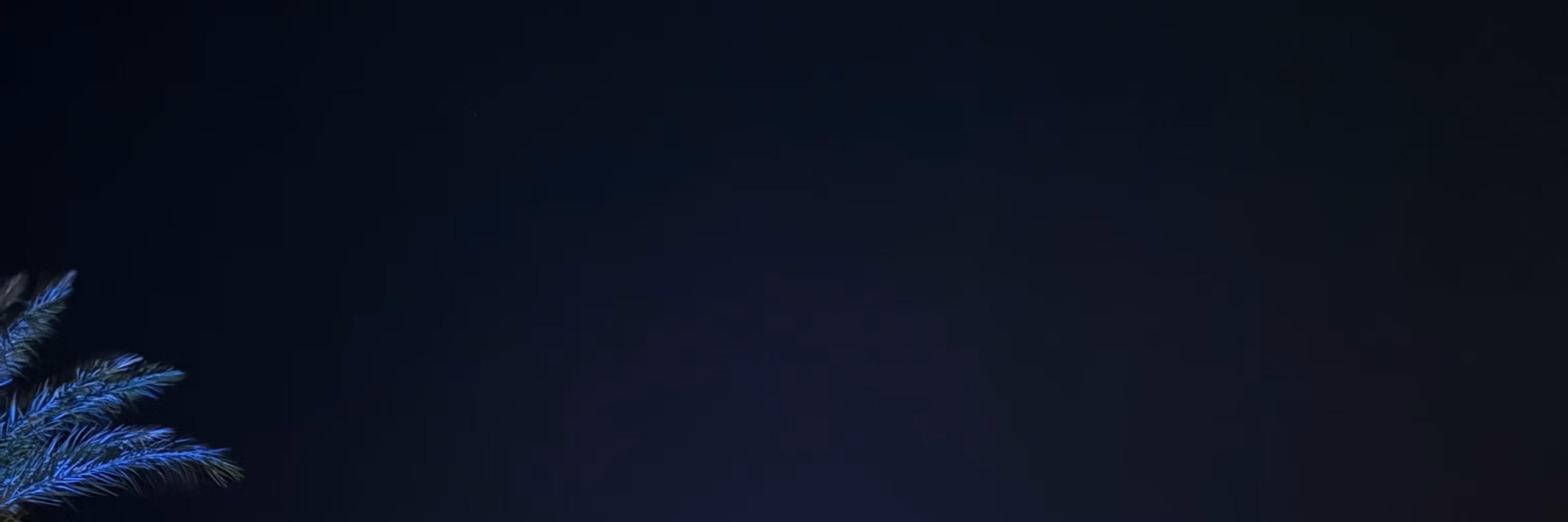 Profile banner