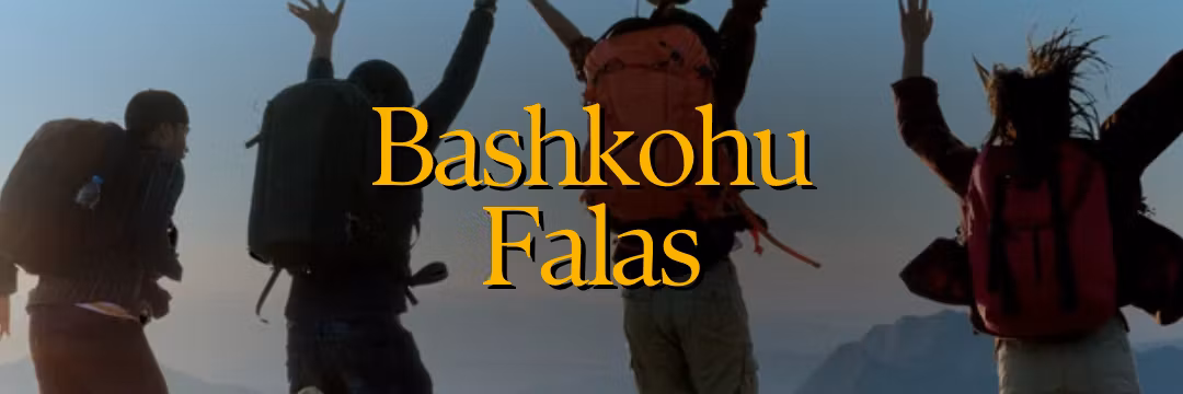 Profile banner