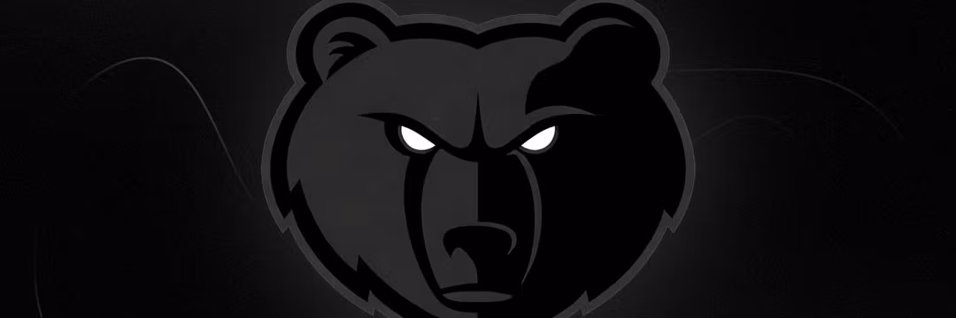 Profile banner