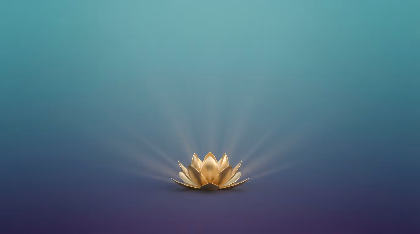 TA-Yoga Vip 3