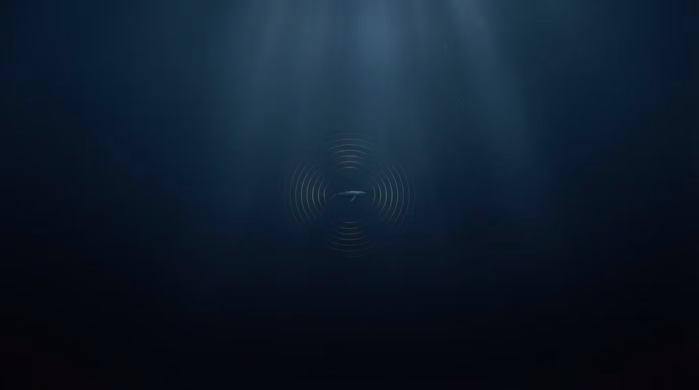 WhalesAlerts