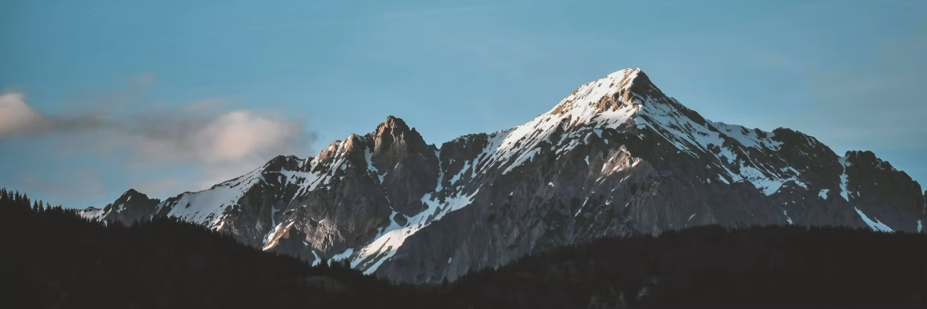 Profile banner