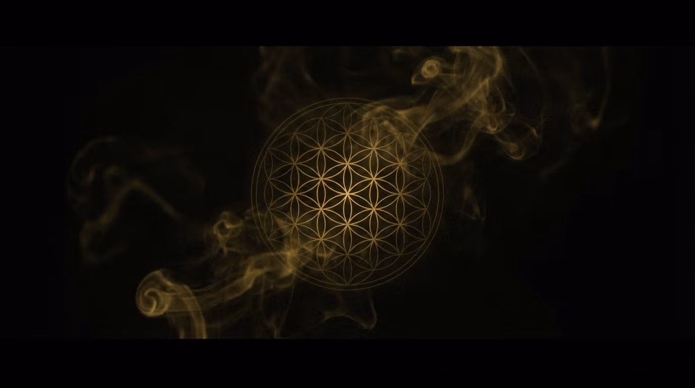 Higher Self Supply Co.