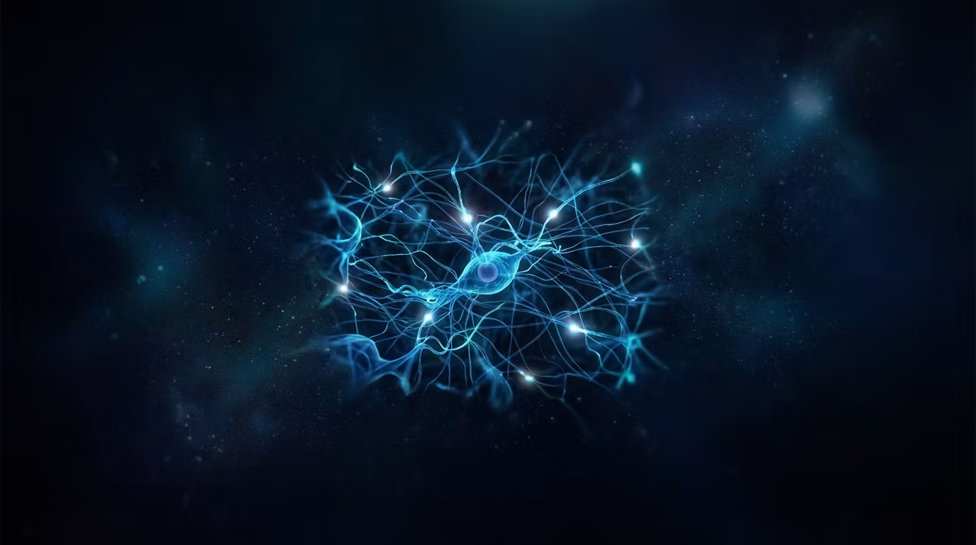 BrainWire