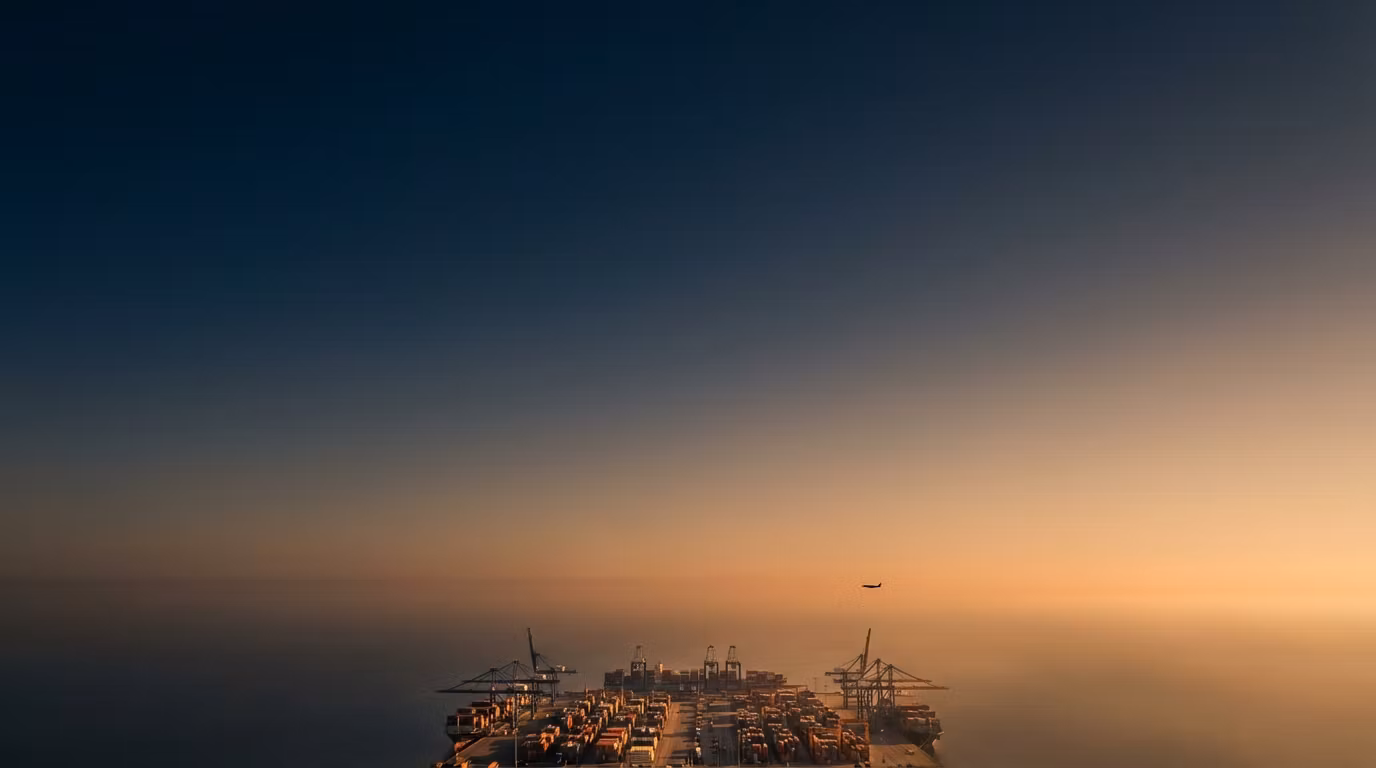 Foreign Skies
