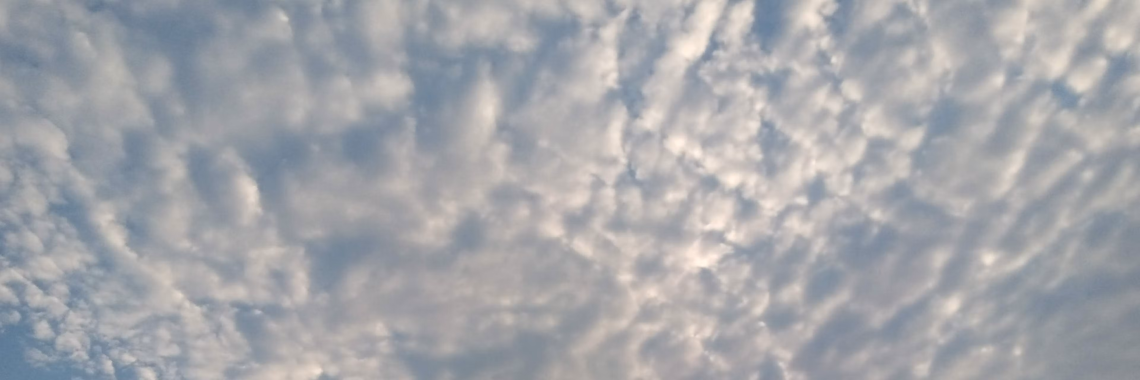 Profile banner