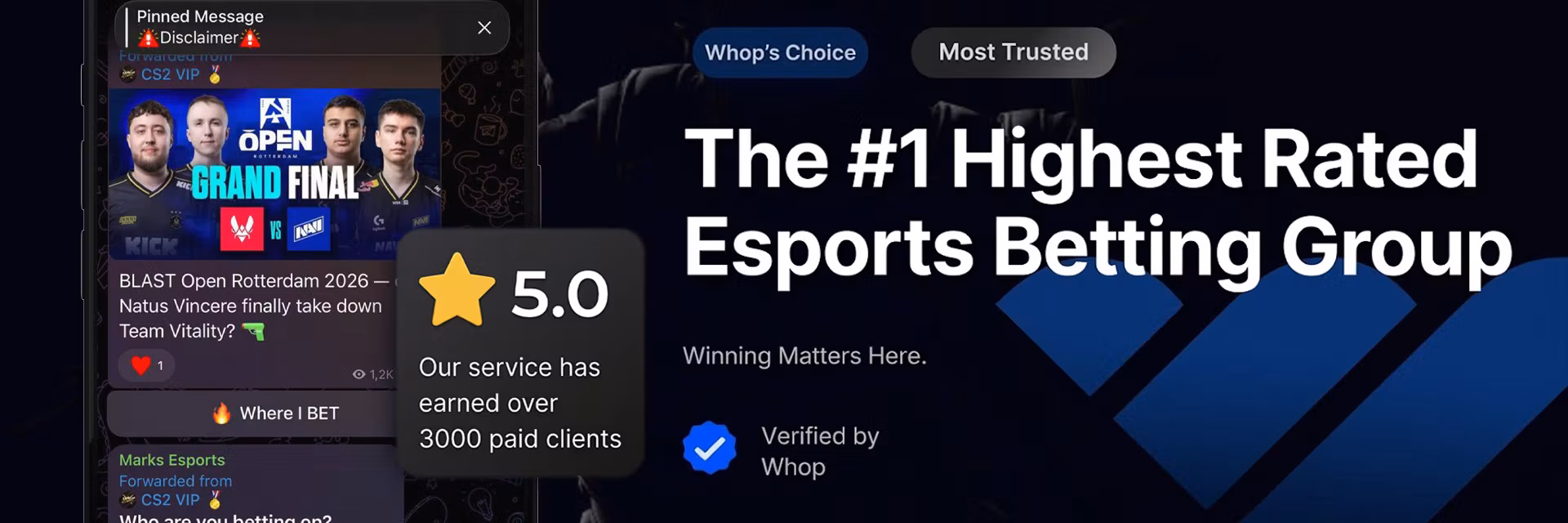 Profile banner