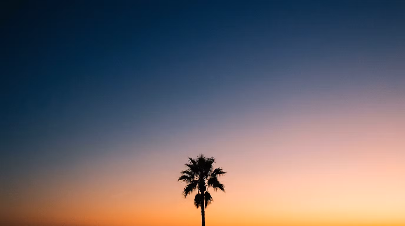 Palm Markets