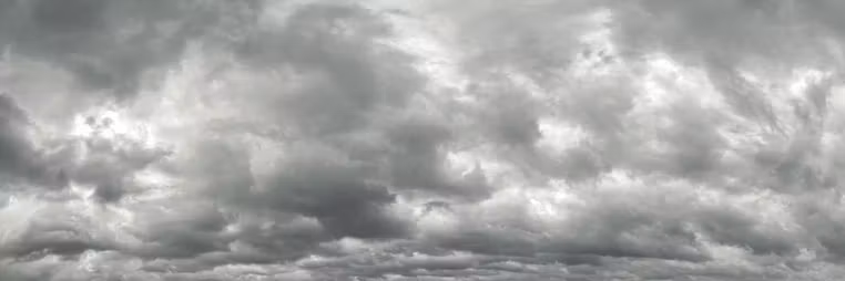 Profile banner
