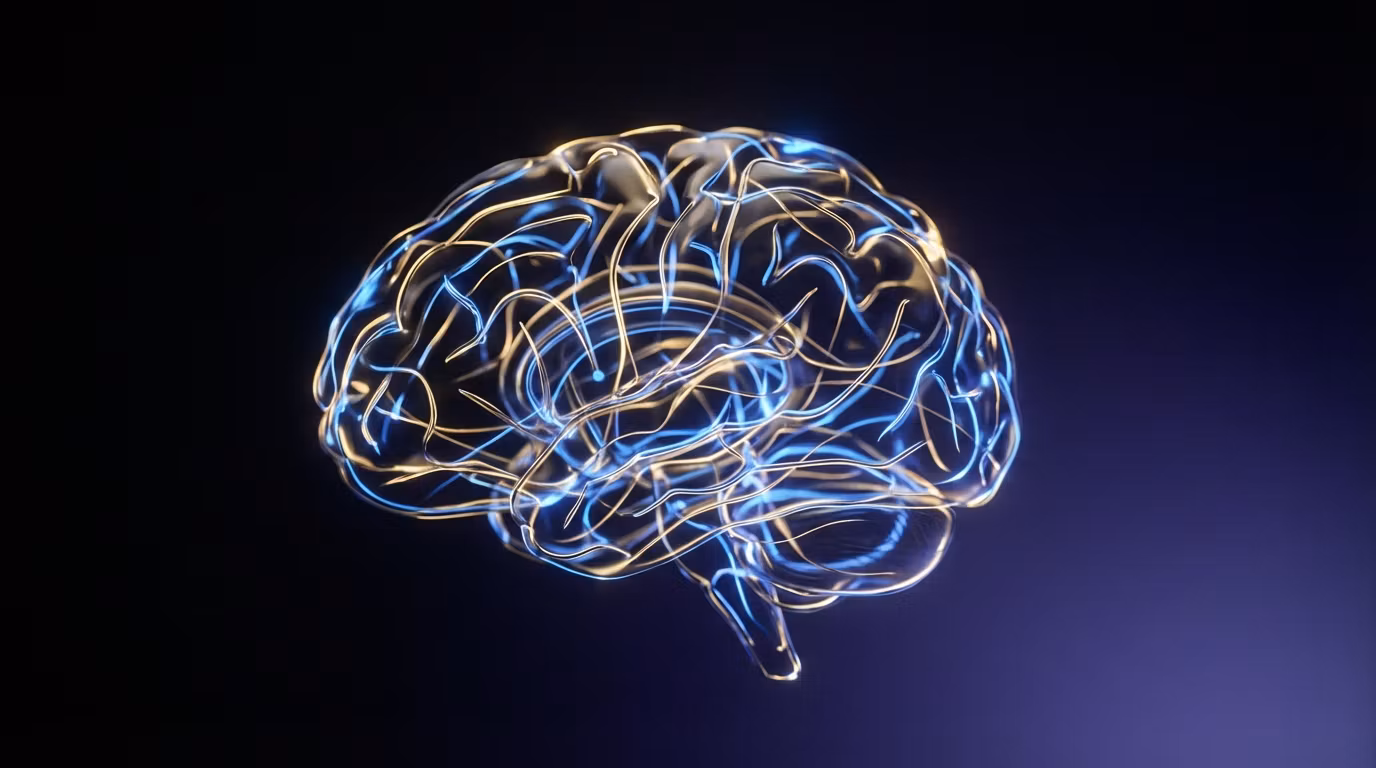 AI Automation Pro