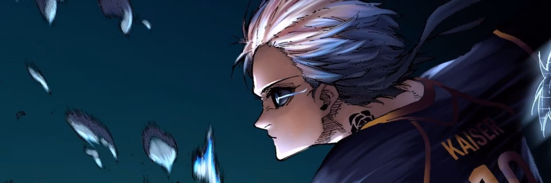 Profile banner