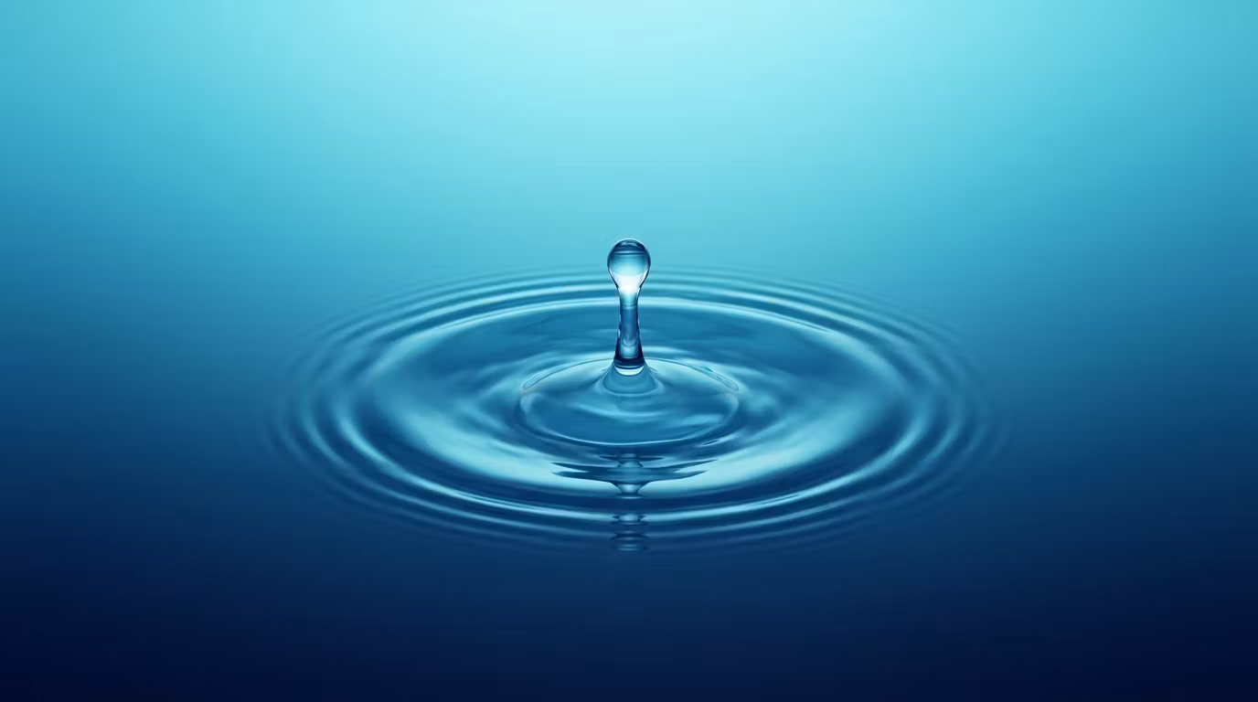 HydroSonic