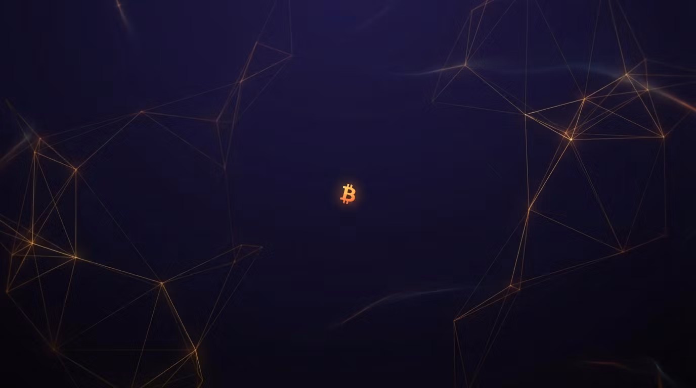 Satoshi Digest