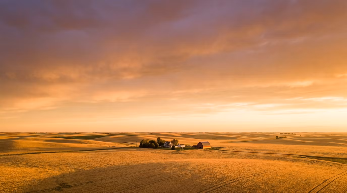 Harvest CFO