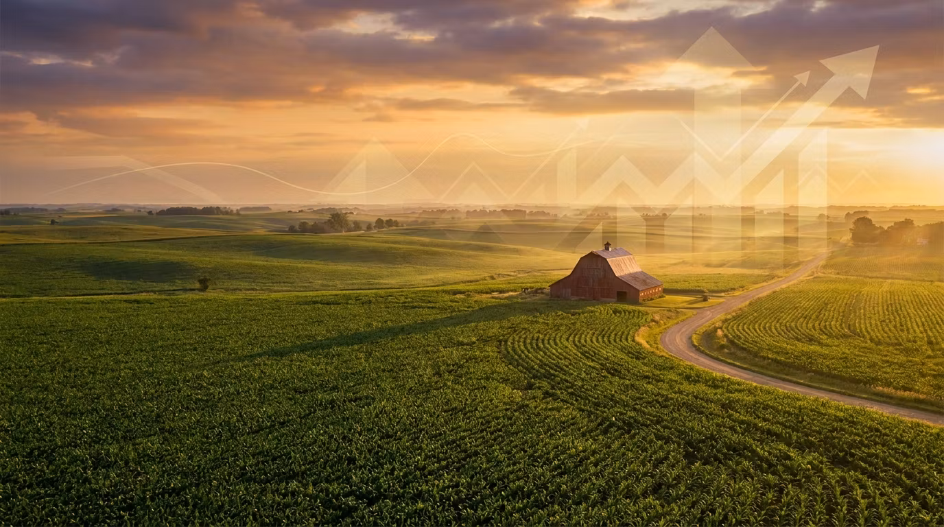 Farm CFO Services