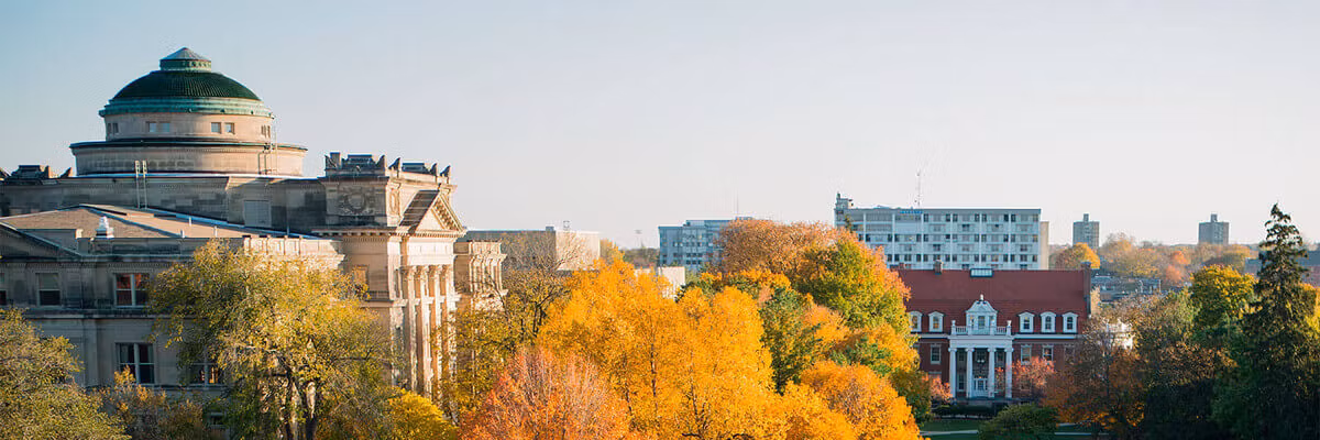 Profile banner