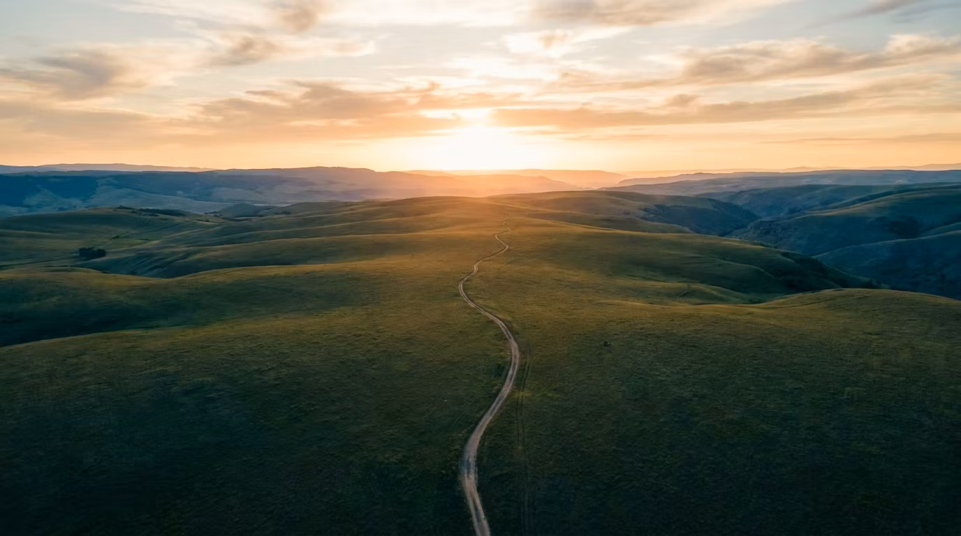 BrightPath Recovery