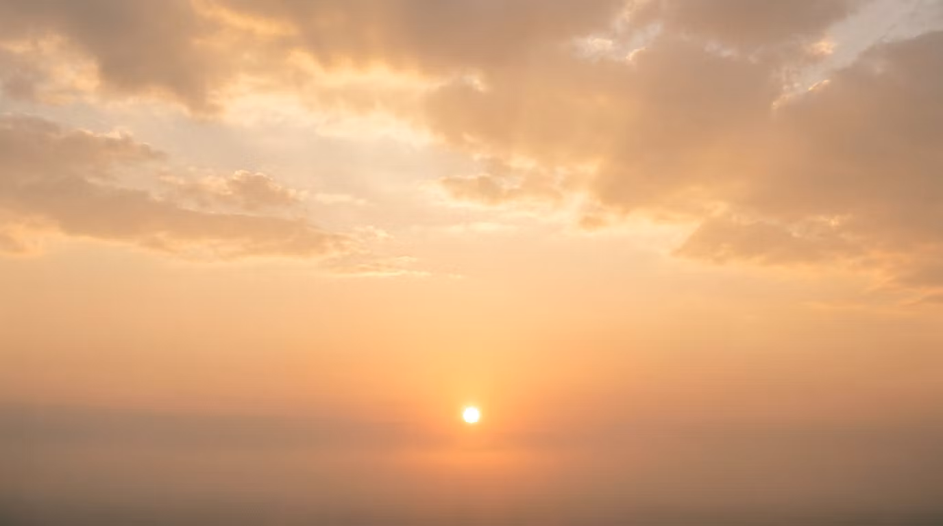 Daily Glow by Julie