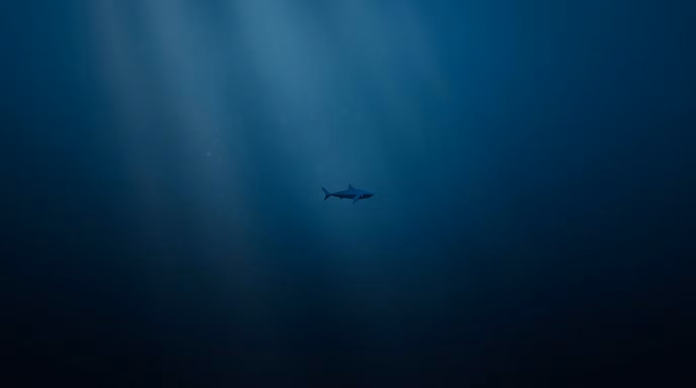 Shark Courses