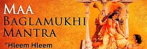 Profile banner