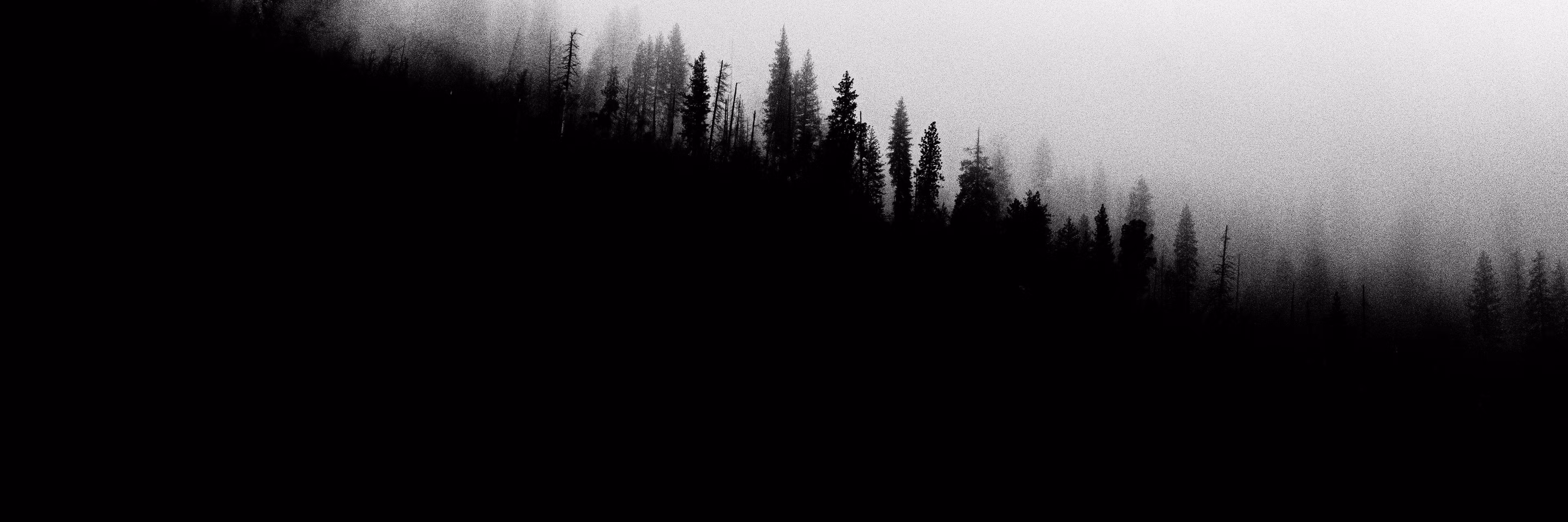 Profile banner