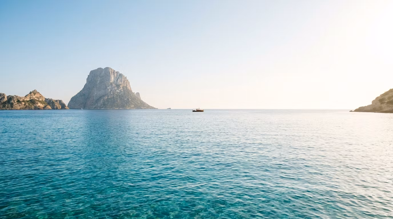 Mallorca Sea Safari