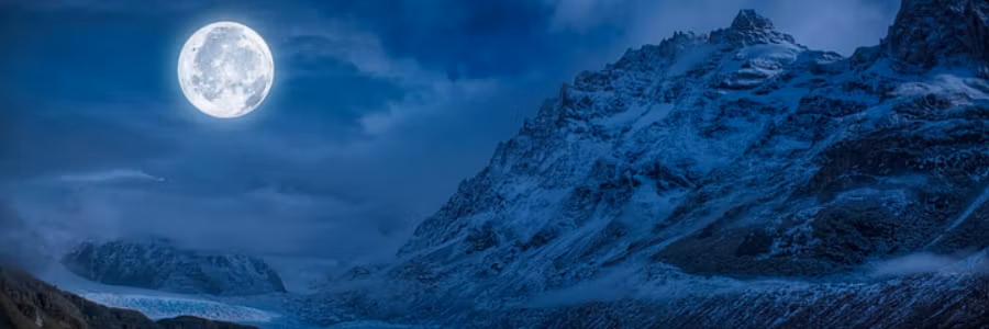 Profile banner
